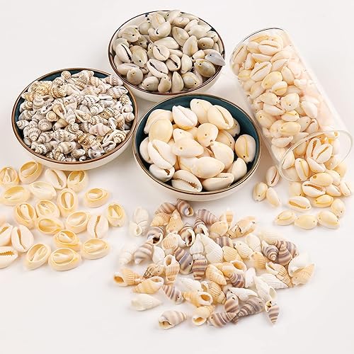 Vista 15 de Conchas de cauri pequeñas cuentas de caurí de concha de mar amarilla natural, conchas ovaladas, conchas de playa de verano, cuentas para pulseras