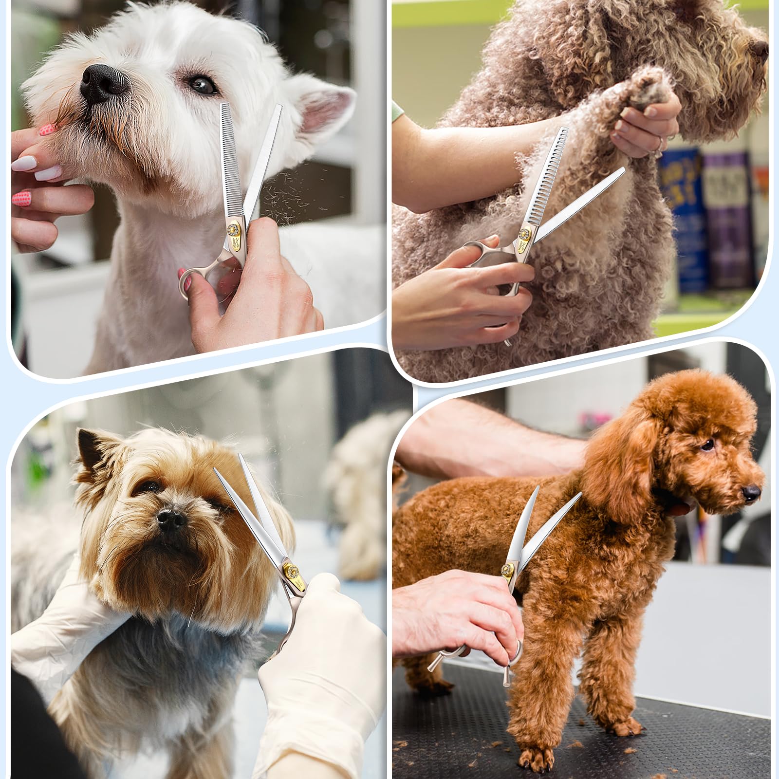 JASON Set Forbici Toelettatura Cani, Forbici Professionali 6in1 Affilate e Durevoli - Forbici da 7.5" per Sfoltire, Chunker, Dritto e Curve Oro Rosa