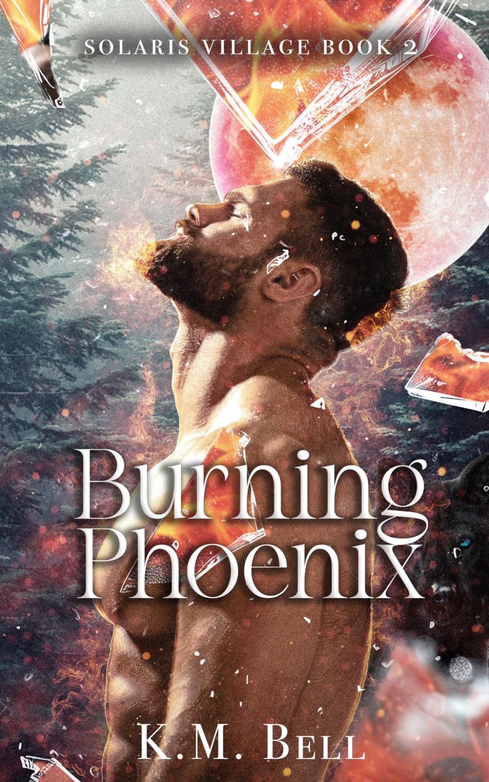 Burning Phoenix (Solaris Village)