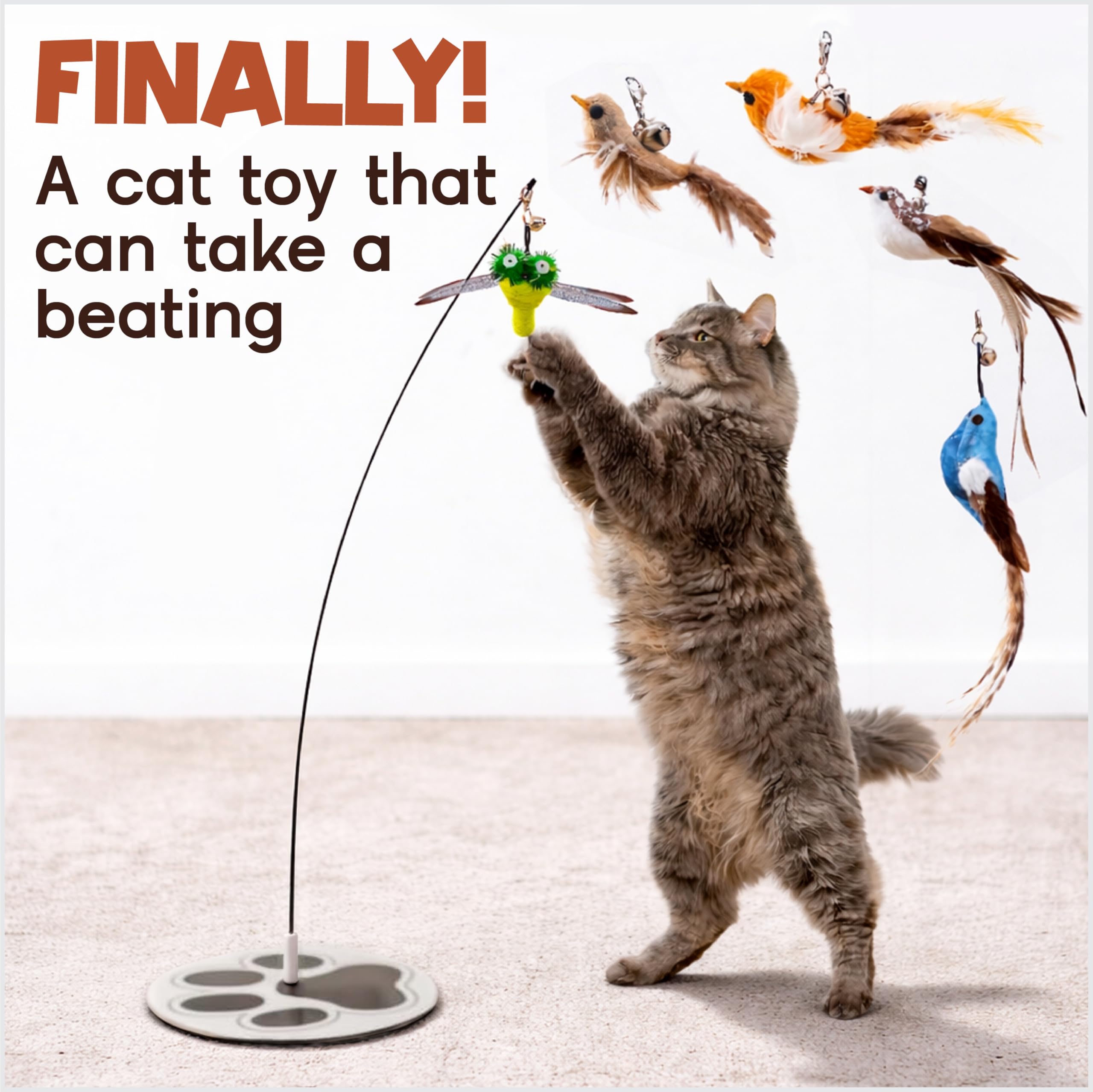 Whisker Wonders Lot de 5 jouets pour chat avec base solide