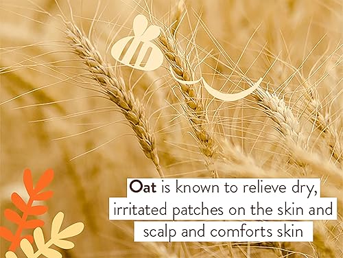 Miniatura 5 de Babo Botanicals Sensitive Baby - Ungüento curativo totalmente natural sin fragancia, 99% orgánico y 1% de avena coloidal, sin esteroides,