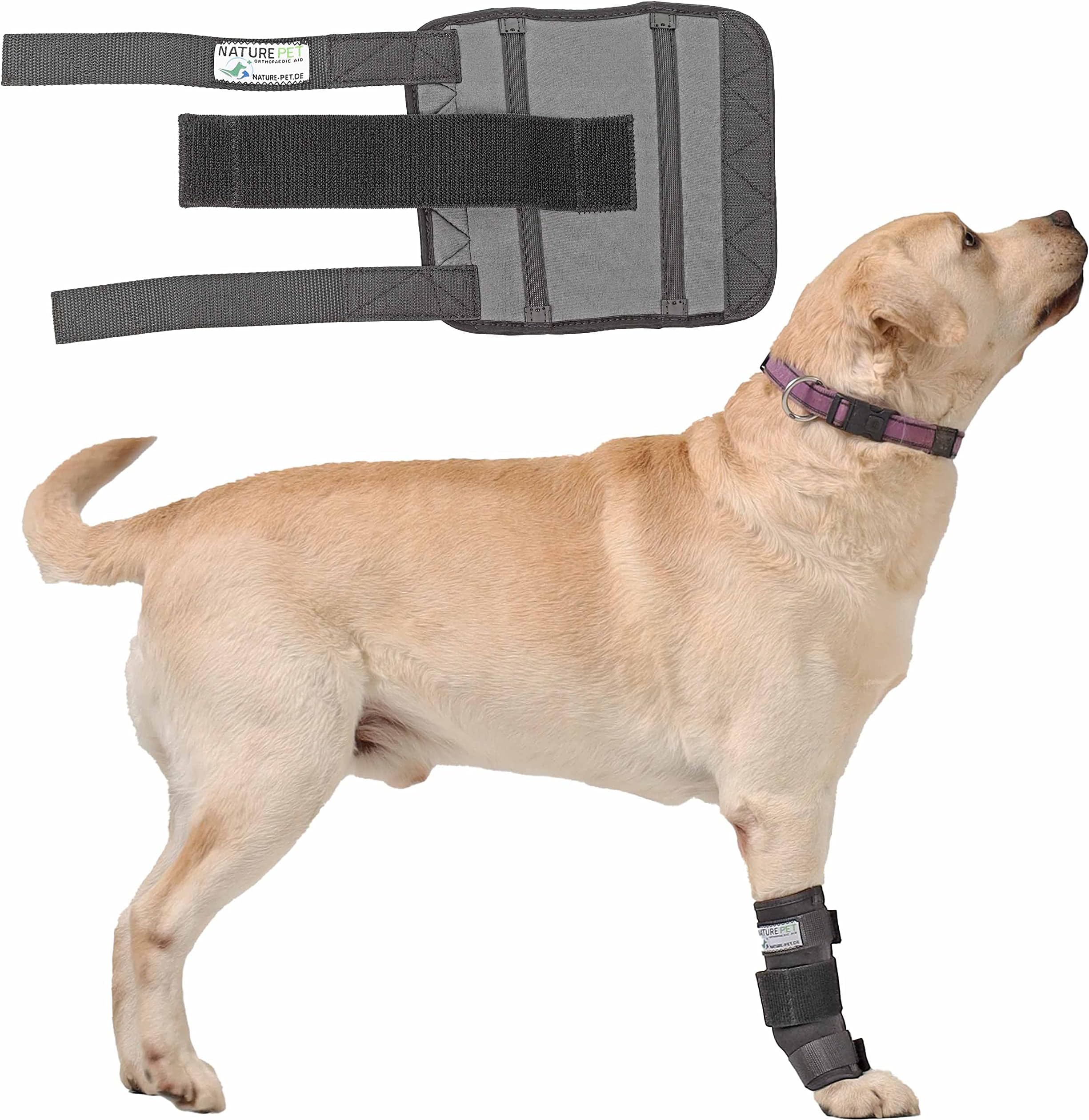 Nature Pet Dog Wrist Bandage/Carpal Joint Protection Bandage for Dogs Carpolock Medium