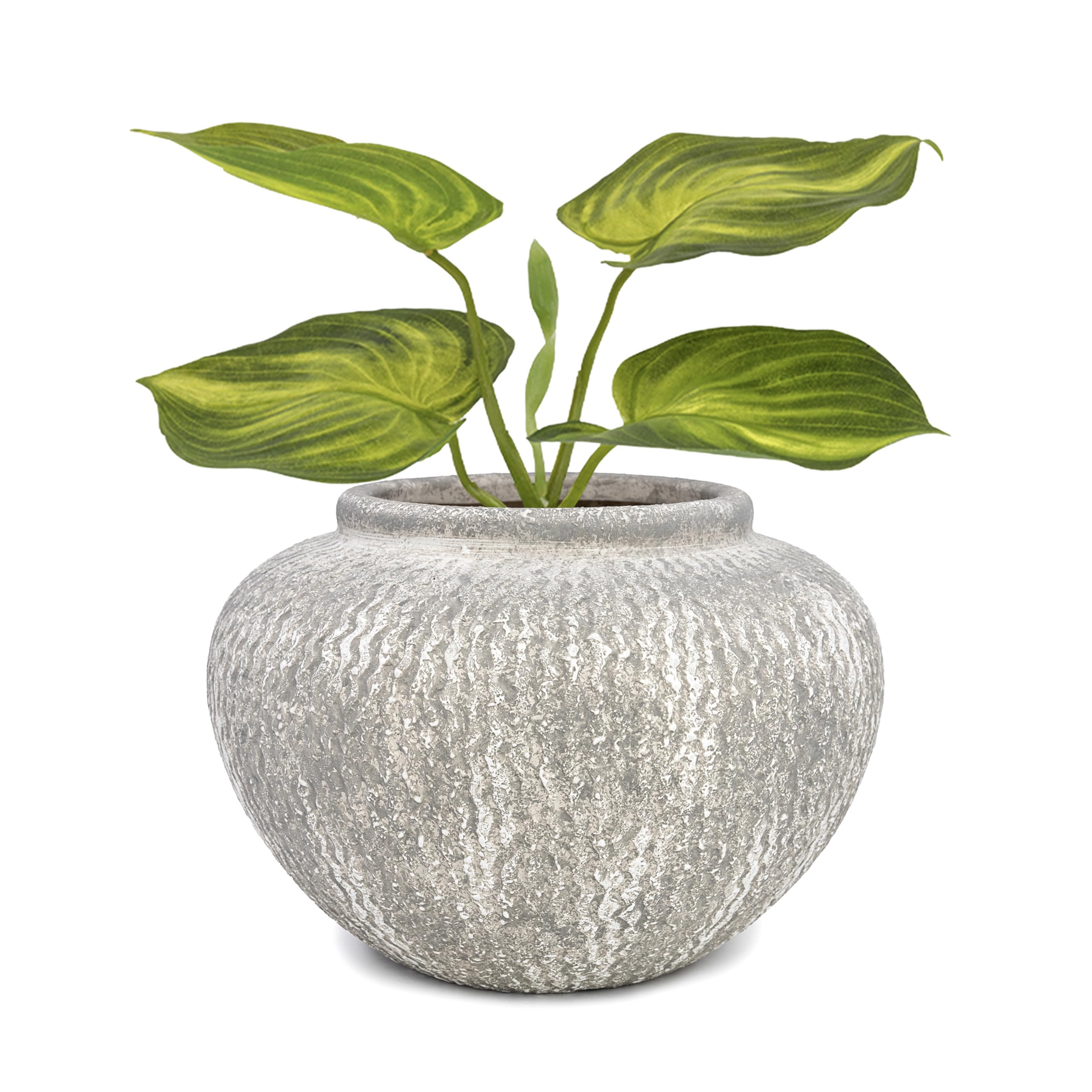 Amazon.co.jp: 素朴な質感のグレーセラミック花瓶 – 大きな丸い農家