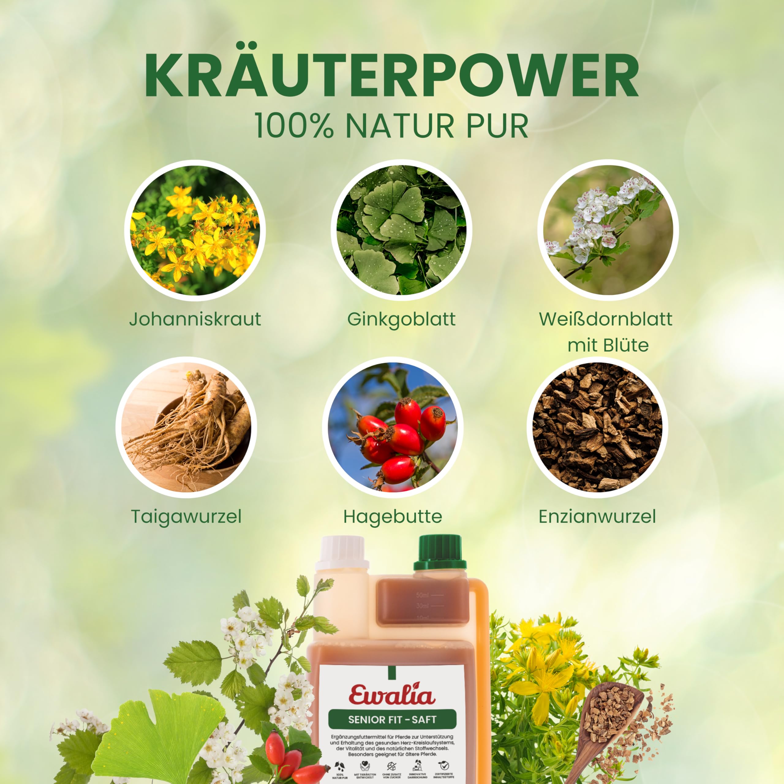 Ewalia Senior Fit Jus naturel pour chevaux âgés Soutien de vitalité et métabolisme pour chevaux âgés, développé avec des vétérinaires, 100 % naturel, sans additifs, ingrédients certifiés 1 l