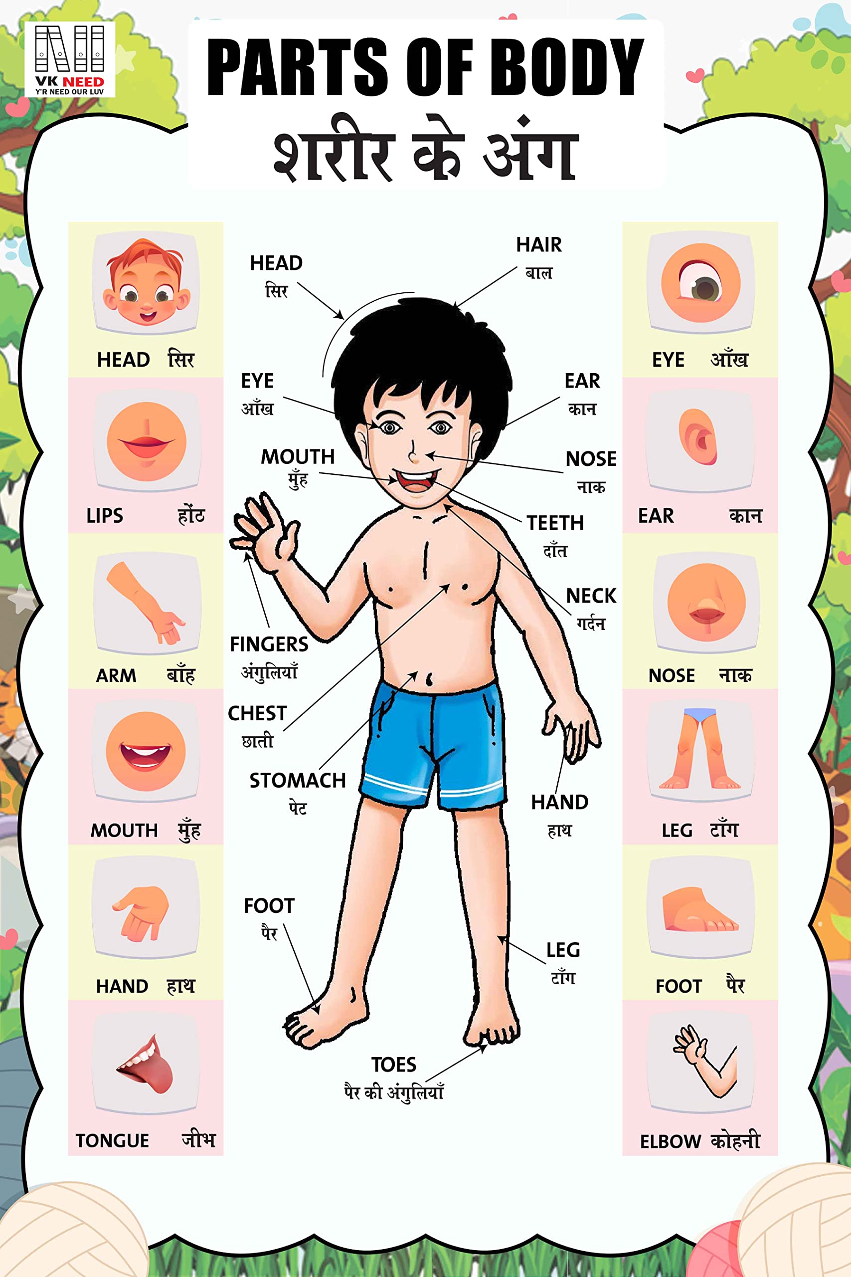 Buy VK_NEED! Parts Of Body WALL CHART (12X18 INCH) WITH LAMINATED FOR