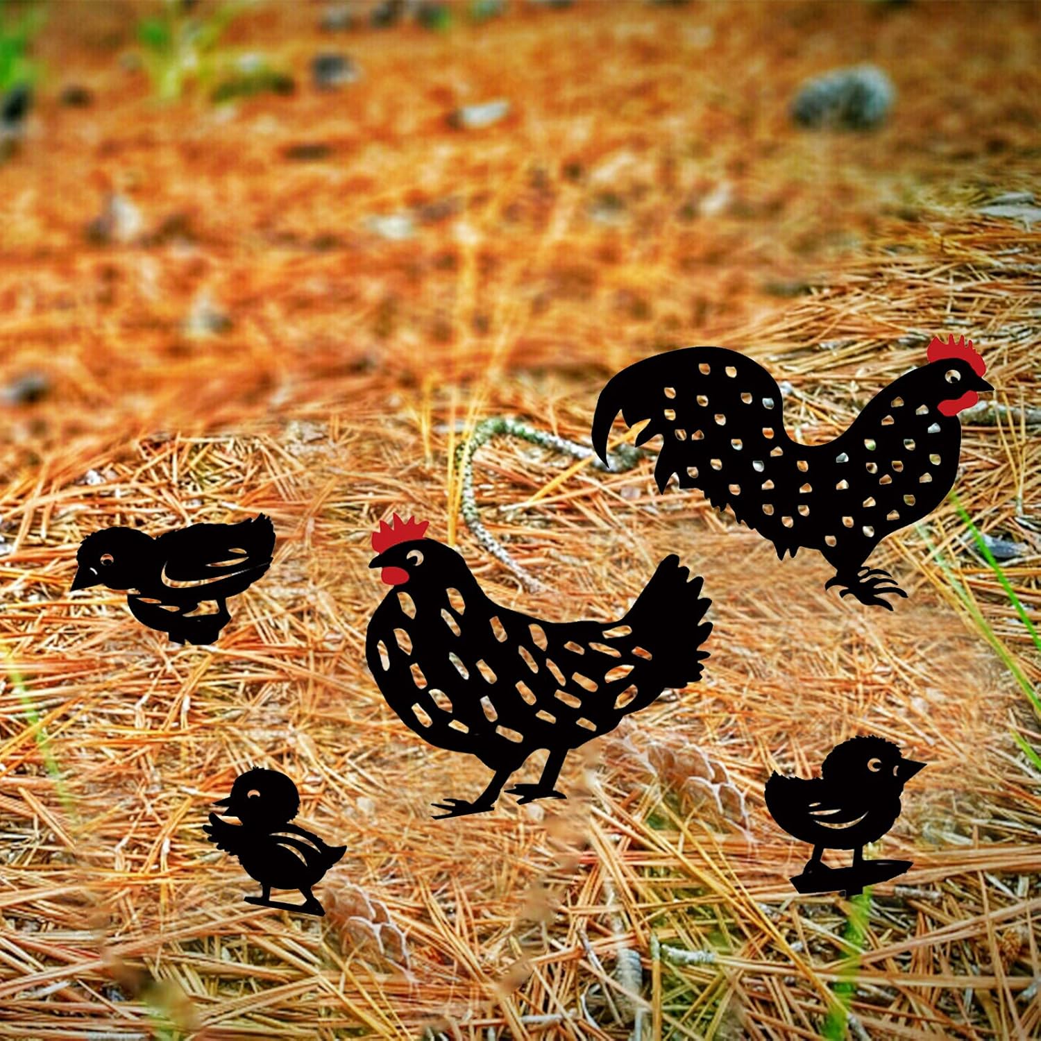 Amazon Co Jp Ebaokuup 雄鶏 動物杭 5個 鶏 家族 庭 シルエット 庭 シルエット 庭 アート 鶏 シルエット 像 装飾 庭 芝生 Diy 工具 ガーデン