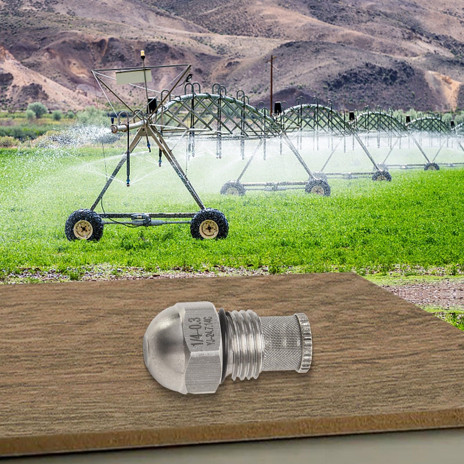 Buse de brume en acier inoxydable 1/4 BSPT Orifice de 0,3 à 1,5 mm pour pulvérisation fine, irrigation de jardin, refroidissement par brouillard paysager (0,3 mm)