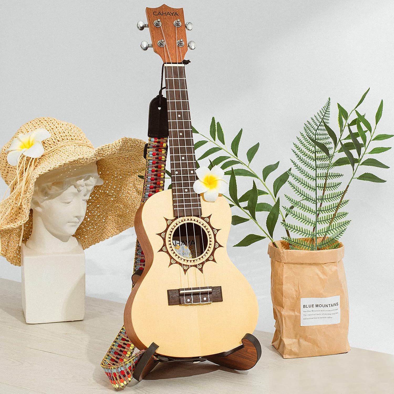 CAHAYA Ukulele Kit Beginner Starter 23 Inch with Gig Bag, Rainbow Strap, Fretboard Stickers, for Both Adults and Kids, Spruce Sapeley, Model CY0069