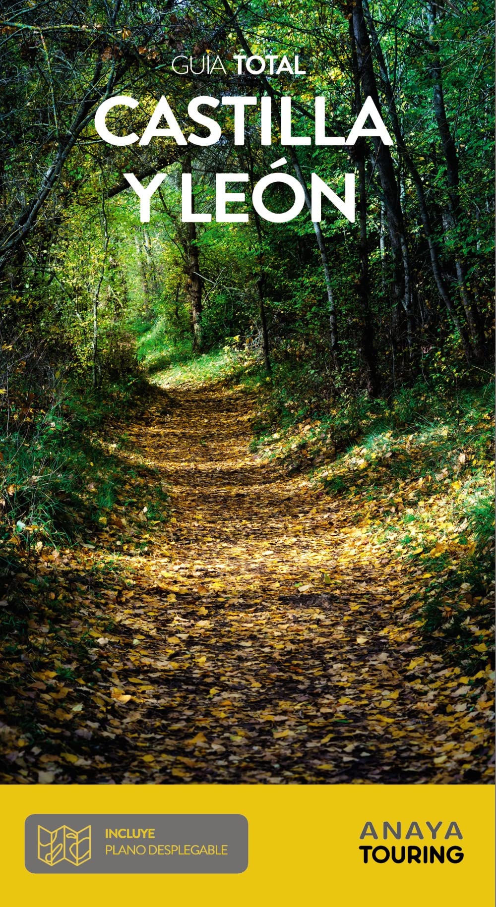 Castilla y León (Spanish Edition)