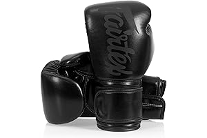Fairtex Premium Muay Thai Boxing Gloves (BGV14 - BGV25) - Windy