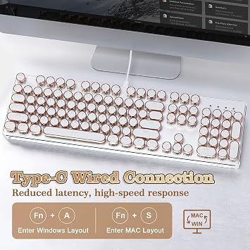YUNZII QL108 Typewriter Style Mechanical Gaming Keyboard,Full Size Hot Swappable RGB Backlit Keyboards,Metal Panel Retro Punk Round Keycaps,USB Wired Computer Keyboard (Silver, Onyx Gray Switch)