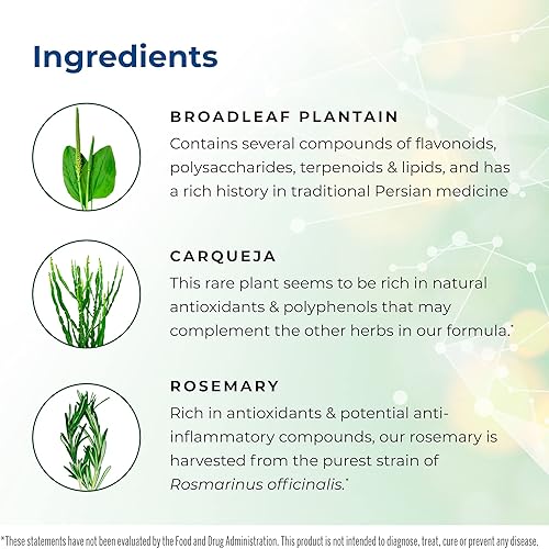 Miniatura 5 de Immune Bio Green Cell  8 onzas, paquete de 4  Suplemento de apoyo al sistema inmunológico, líquido  Incluye vitamina C, carqueja, romero y plátano