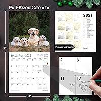Vista 5 de MICASA PRESS Golden Retrievers 2026 - Calendario de pared de 12 meses, 12 x 24 pulgadas, abierto, papel grueso y resistente, para regalo, lindo