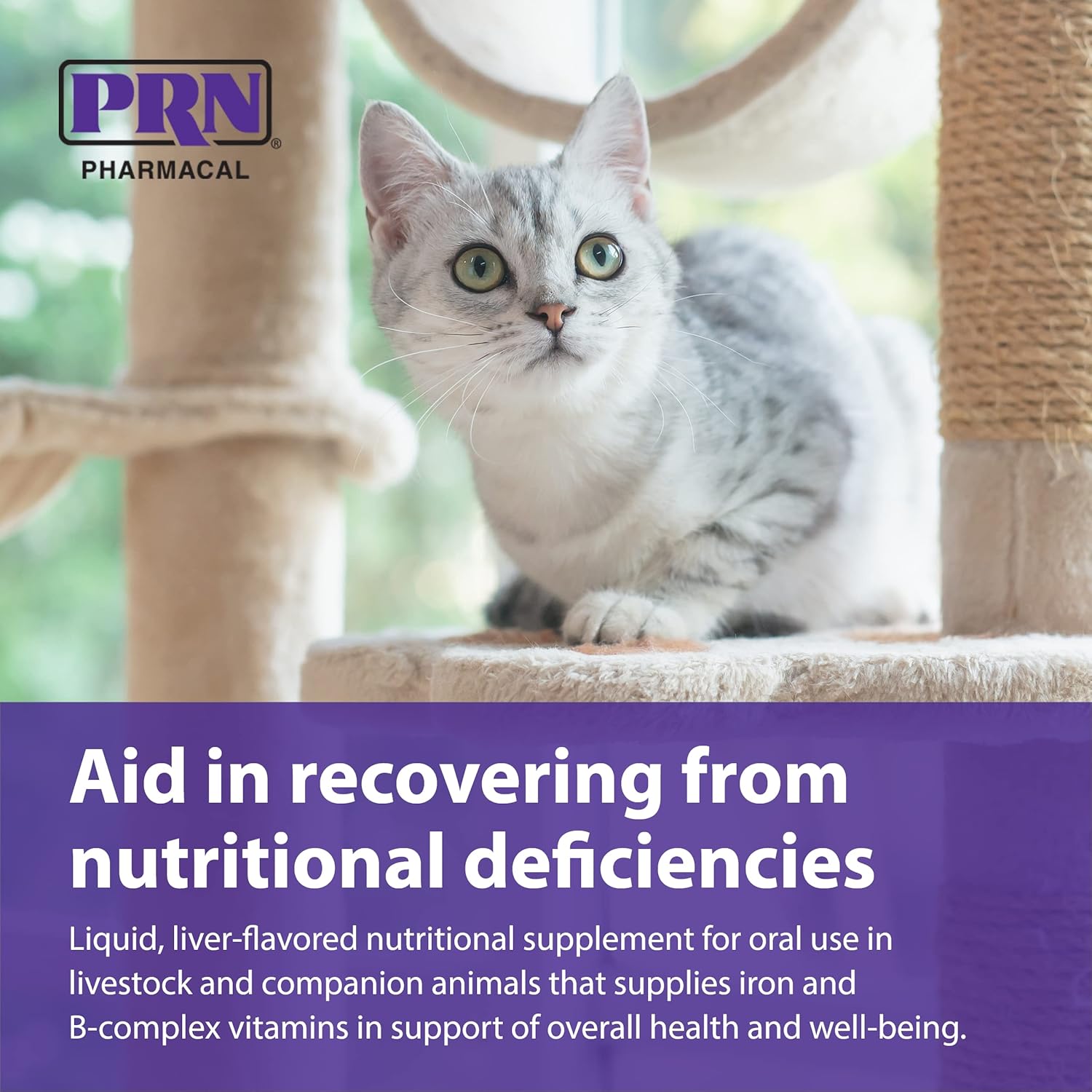 PRN Pharmacal Liqui-Tinic 4X - Iron & B Vitamin Supplement for Pets - Liver-Flavored - 2 fl oz (3 Pack)