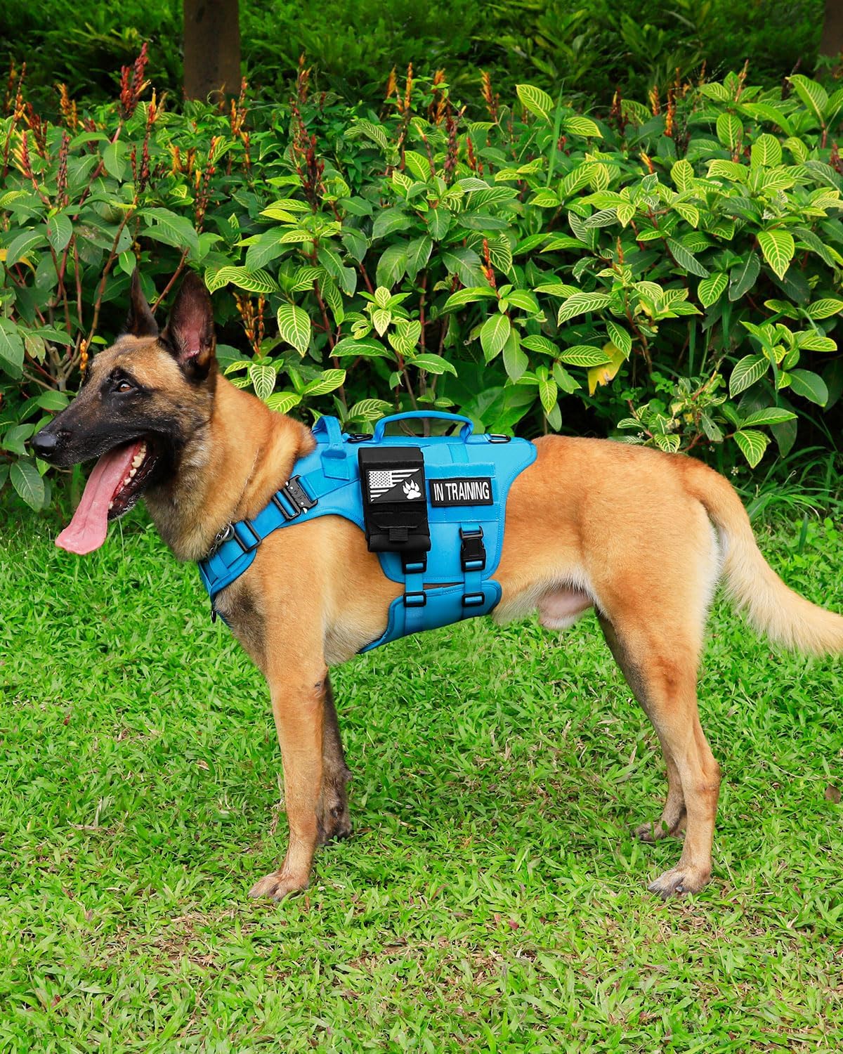 PETNANNY Tactical Dog Harness - No-Pull Service Vest for Large Breeds, with Hook & Loop Patch Panel & MOLLE System | Padded Handle for Walking, Hiking & Training (Blue,L)
