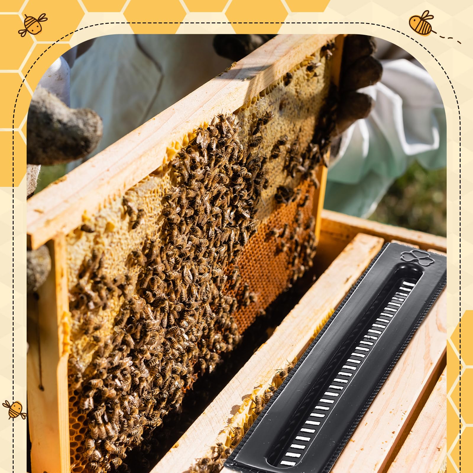 Qualirey Lot de 50 petits pièges à coléoptère en plastique pour ruches, outils d'apiculture, fournitures d'apiculture, contrôle des coléoptères