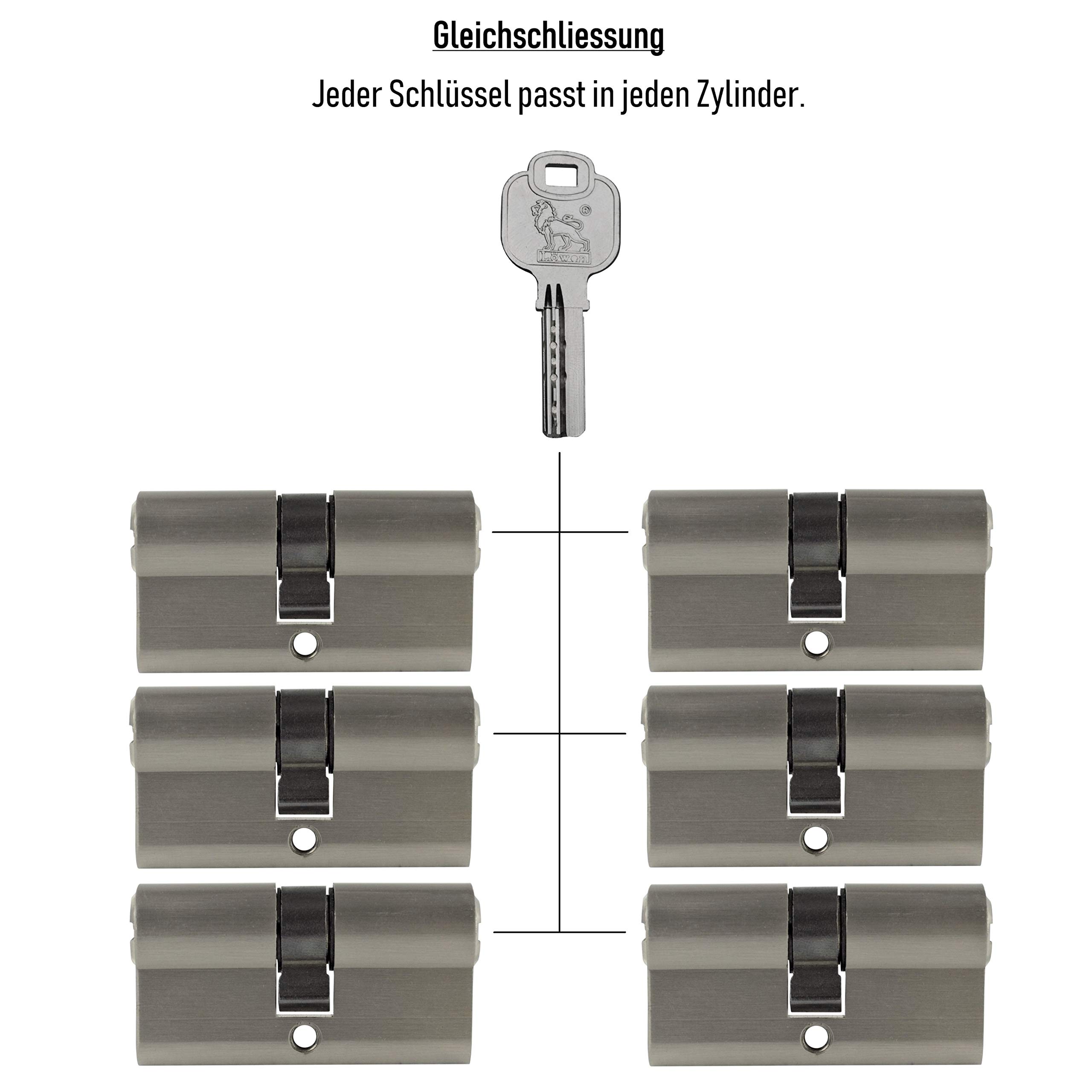 6 Cilindros de Perfil de 60 mm, 30/30, 30 Llaves, Cerradura de Cilindro con Cierre Uniforme
