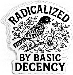 (3Pcs-2") Radicalized by Basic Decency Sticker Protest Liberal Leftist Democracy Human Rights Waterproof Vinyl Sticker Laptop, Water Bottles, Phone Merchandise Decor Decal Gifts for Her Him 2 inches