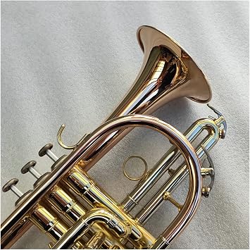Trumpets Beginner Golden Bb Cornet Trumpet Brass with Case and Mouthpiece Musical Instruments Trumpet Set