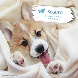Ver la foto 4
