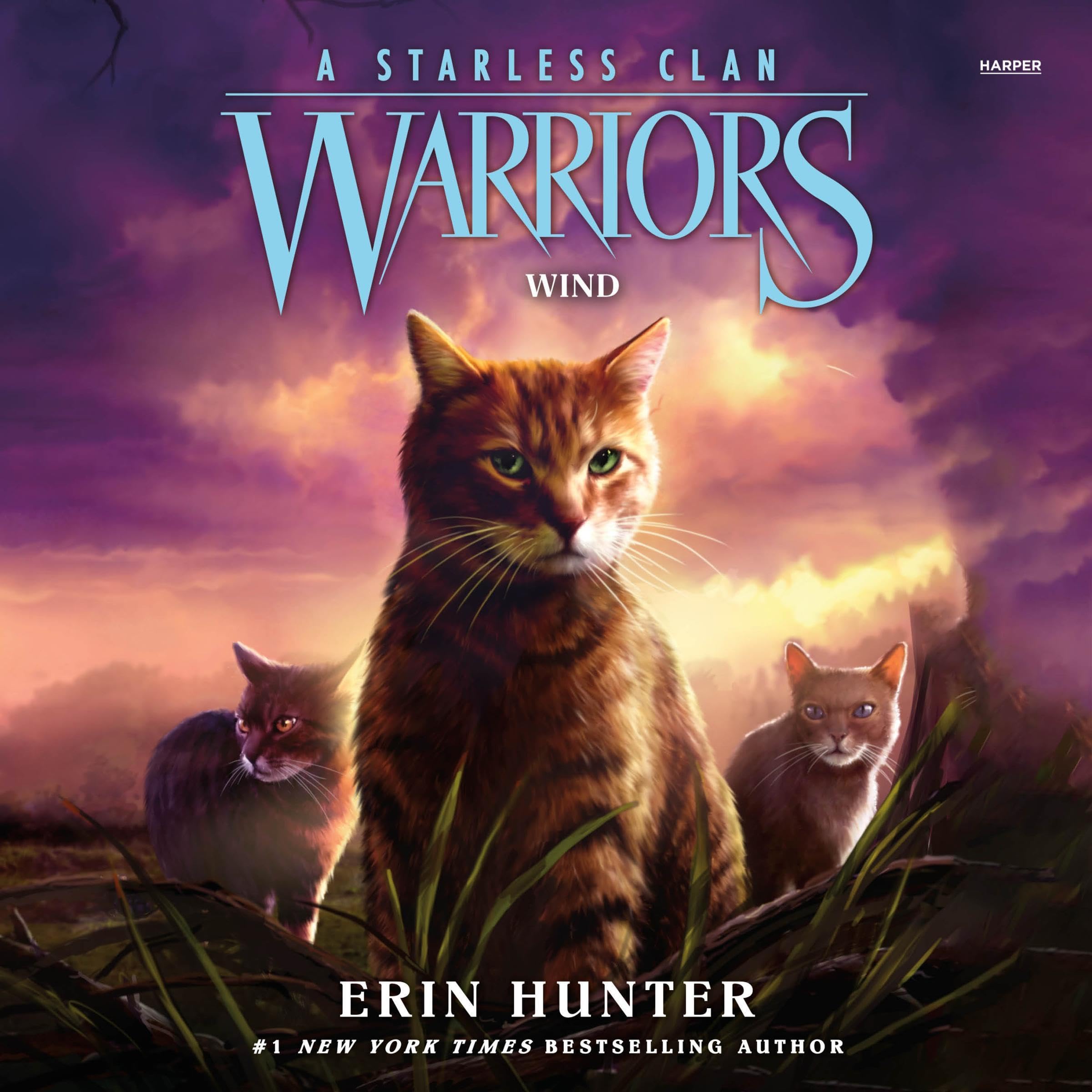 Cover art for Warriors: A Starless Clan #5: Wind