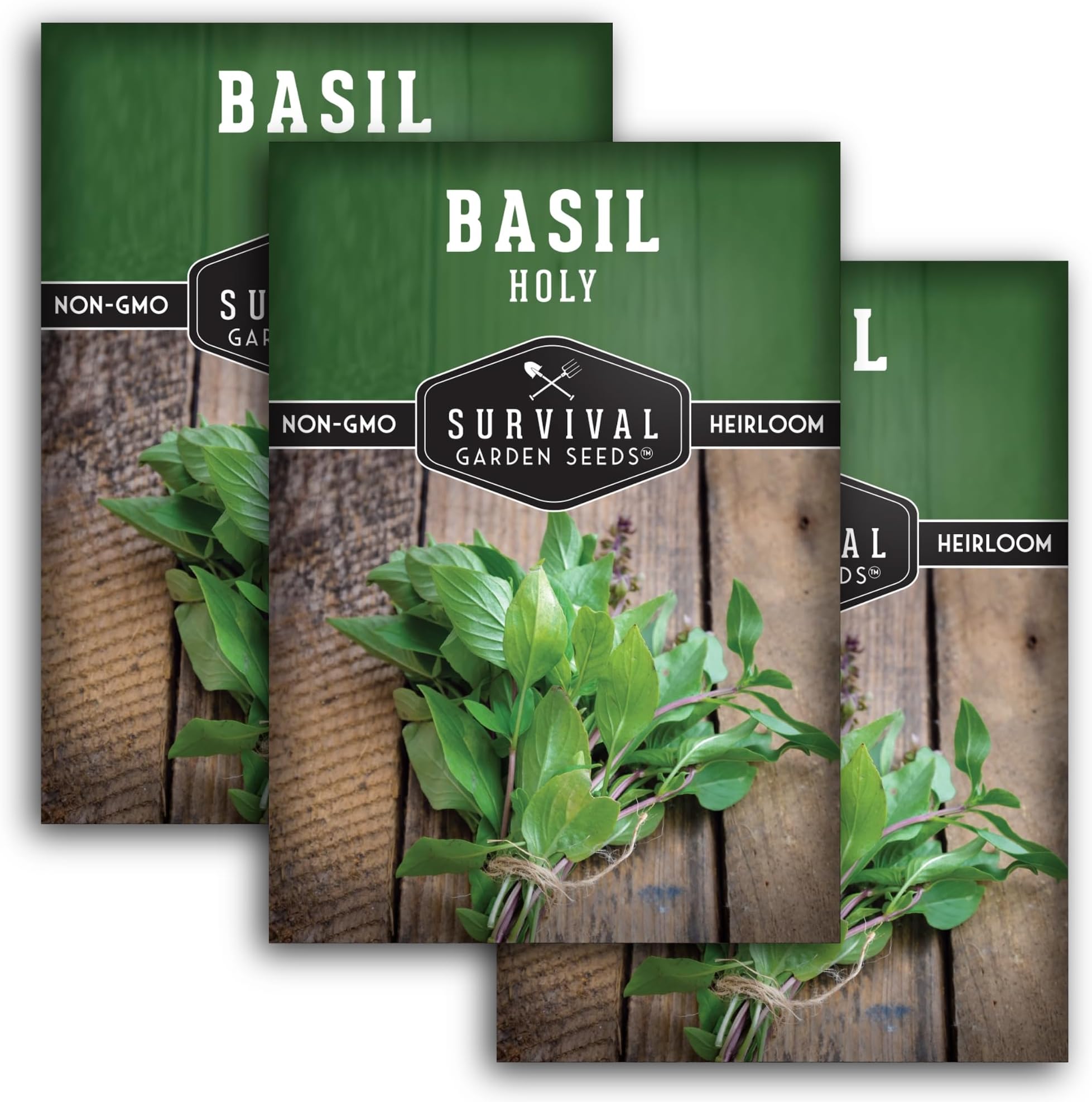Survival Garden Seeds - Holy Basil Seed for Planting - 3 Packets with Instructions to Plant and Grow The Indian Sacred Herb Tulsi in Your Home Vegetable Garden - Non-GMO Heirloom Variety