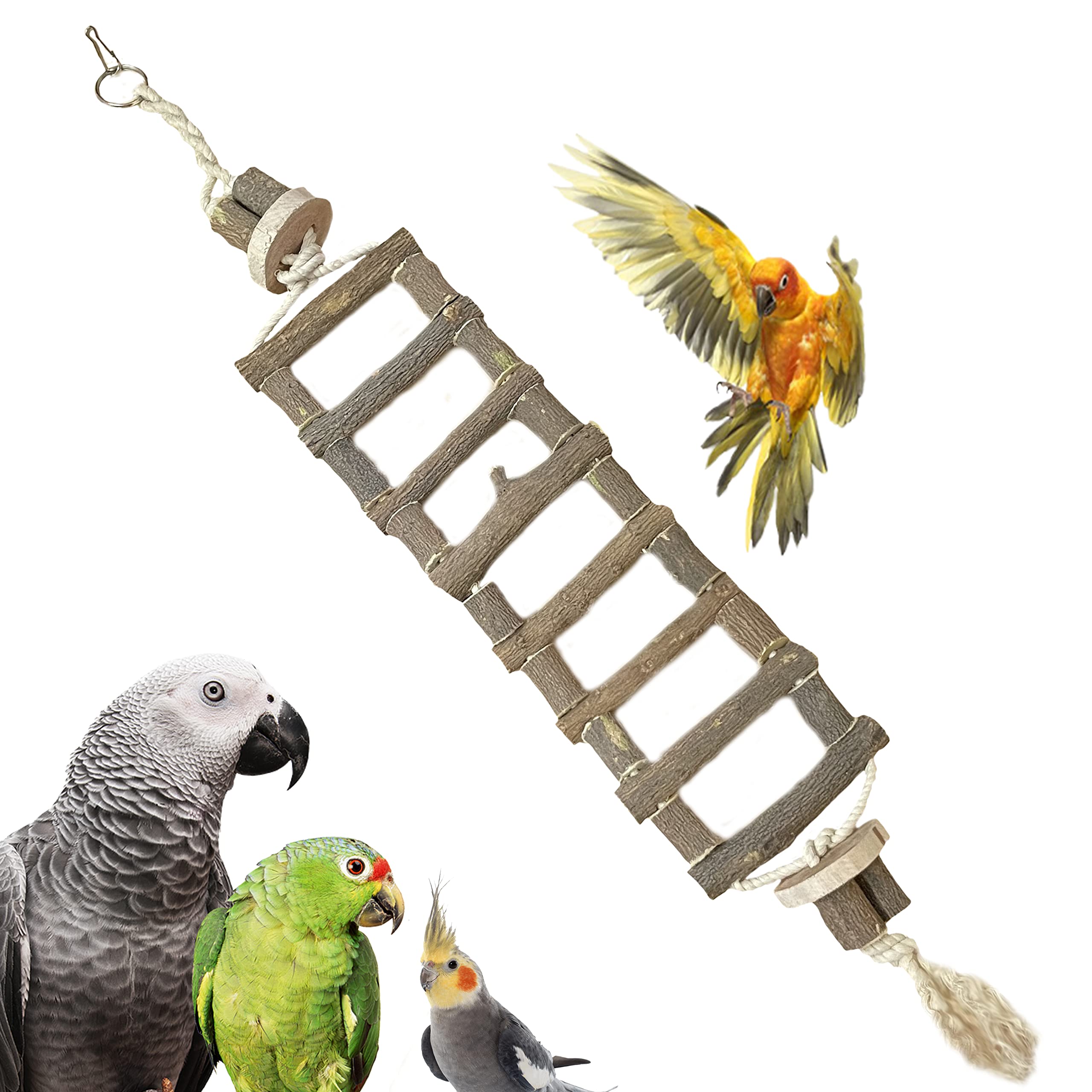 Congo Bird Safe-Chew 24 inch Wooden Ladder Bridge | for Climbing & Chewing | Fun-Full Toy for Conure, African Grey, Amazon and Macaw Piece of 1 (B08N1JC1B2) Amazon Price History, Amazon Price Tracker