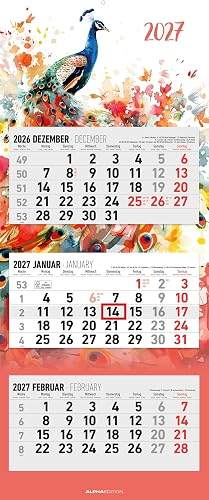 3-Monatskalender Design 2027: Wandkalender 33x80 cm mit 3 Monaten im Überblick, 