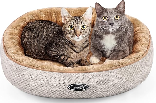 Pecute Cat Bed for Large Cats and Puppies Oval (55cm)- Plush Pet Donut Bed Well Padded, Soft Comfy Cushion NonSlip Base Machine Washable (Beige)