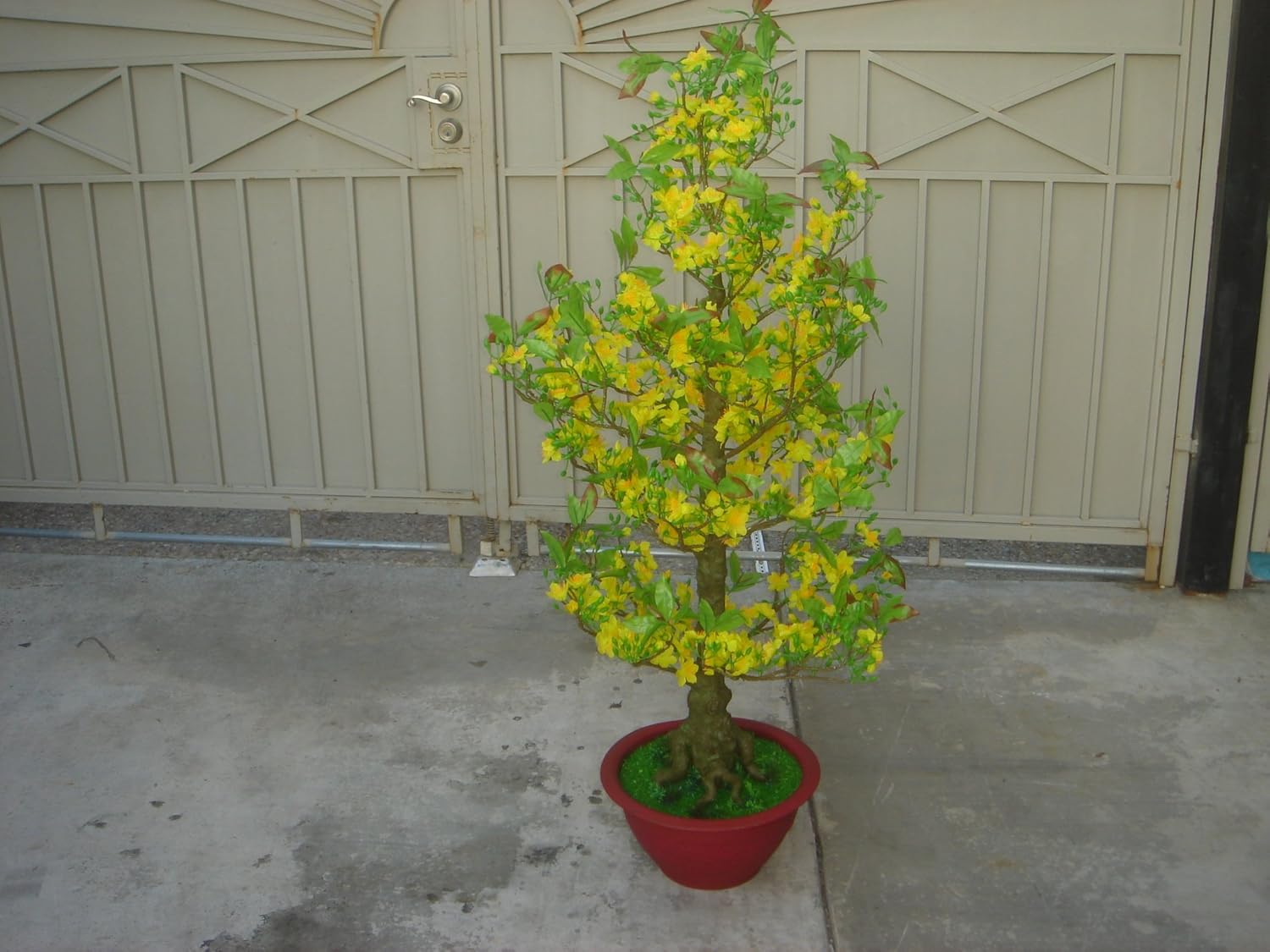 Plastic Artificial Yellow Apricot Flower Tree with Plastic Pot 57" Tall (HOA Mai) Require Assembly