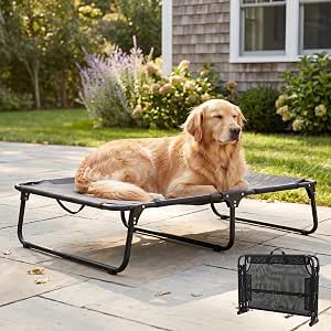 Foldable Outdoor Elevated Dog Cot Bed with Handle