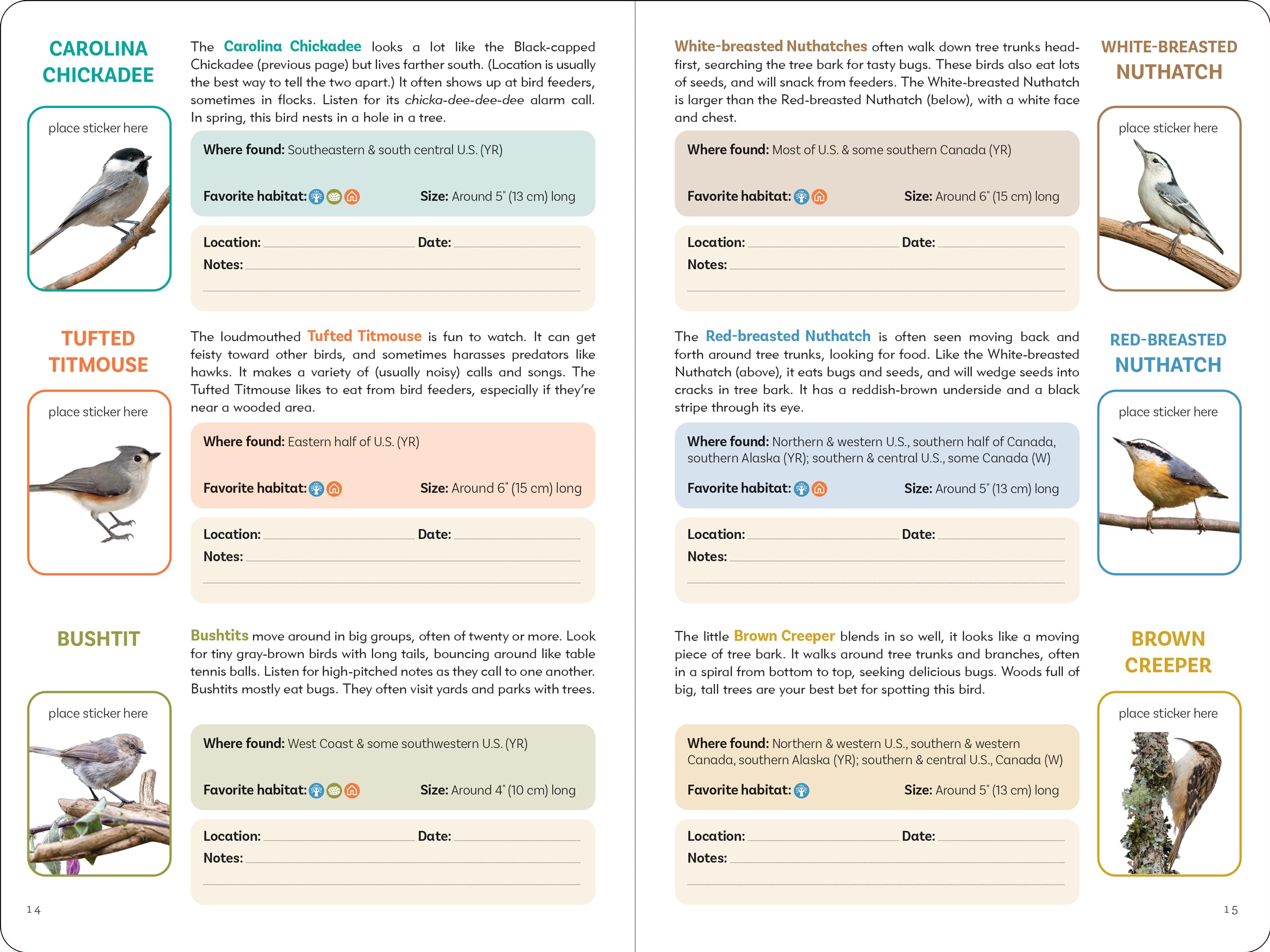 Birder's Logbook: A Seek-and-Sticker Book for Budding Ornithologists (comes with 100 full-color stickers of birds!) - Image 6