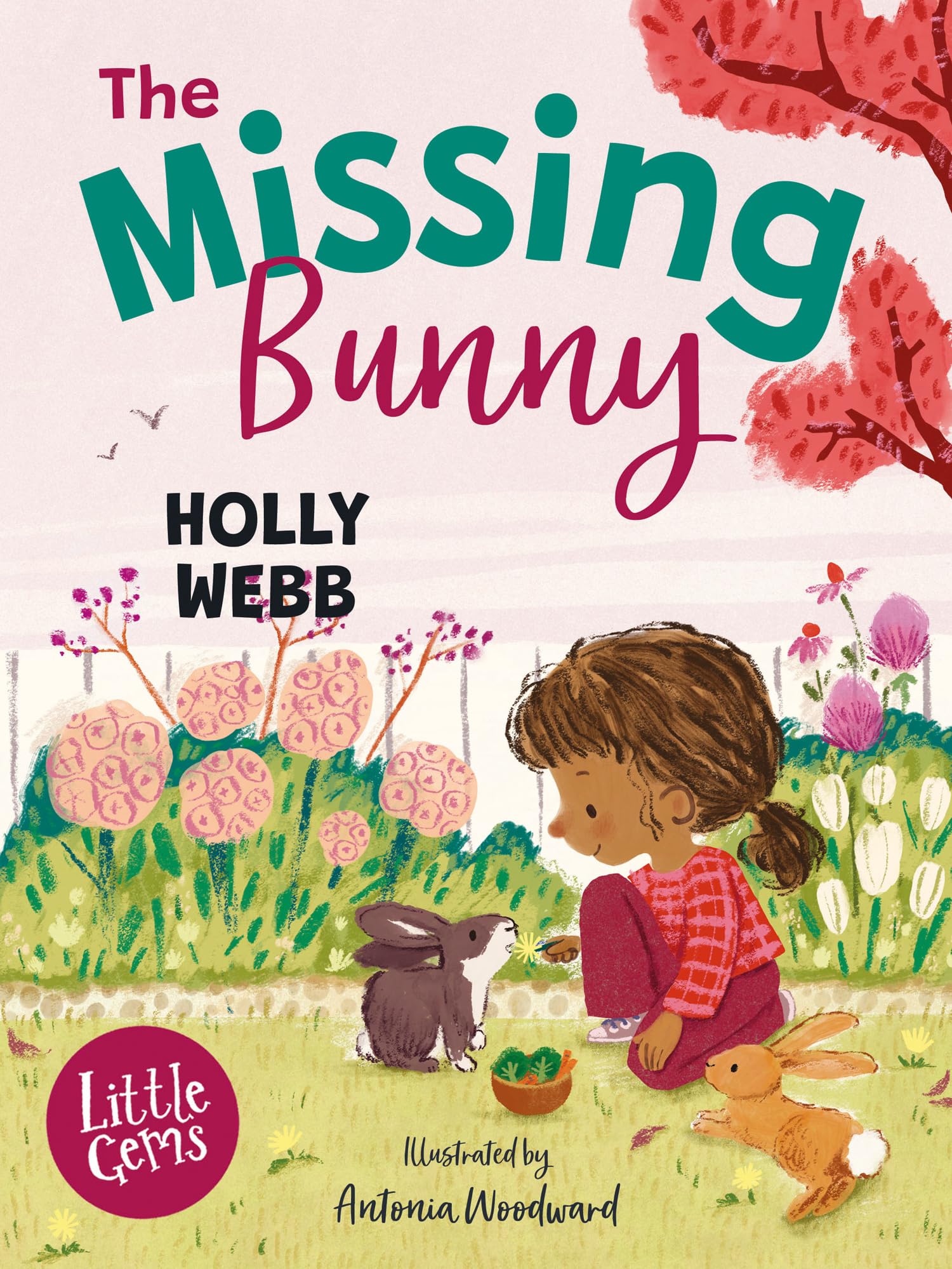 The Missing Bunny: An adorable illustrated first chapter book from internationa
