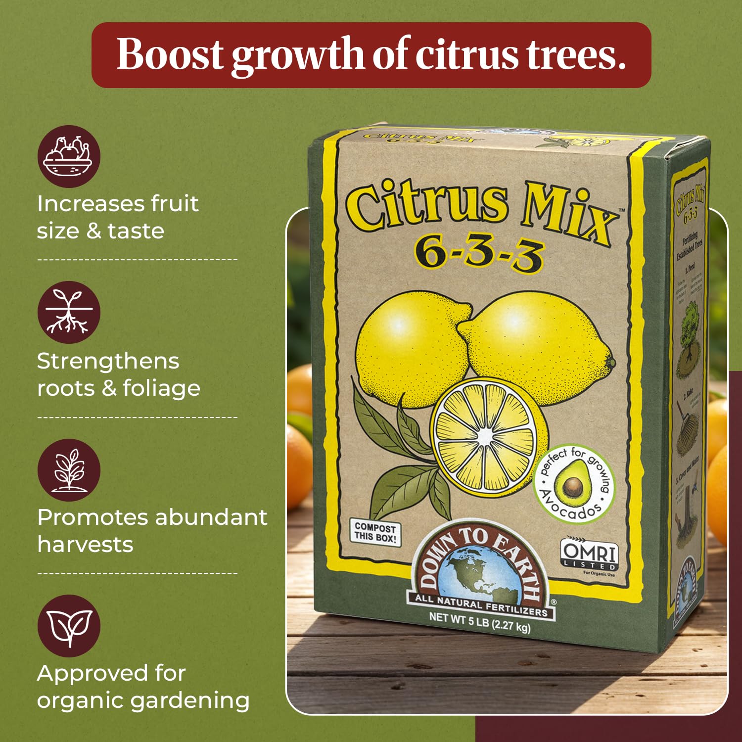 Down To Earth Citrus Mix 6-3-3 & Acid Mix 4-3-6 Fertilizer Bundle | Organic Plant Food for Citrus, Blueberries & Acid-Loving Plant | Nutrient-Rich Soil Amendment for Garden & Potted Plants | 5 lb Each