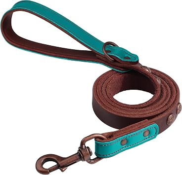 PET ARTIST Leather Dog Leash 5ft x 3/4 inch, Luxurious Genuine Leather Dog Training Leashes with Soft Padded Handle & Bronze Rivets, Stylish & Durable Pet Lead for Medium Large Dogs Walking,Green