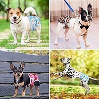 Vista 7 de Pet Soft Pañales para perras, paquete de 3 pañales lavables para perros en celo, reutilizables, bragas de período, pañales para cachorros hembra