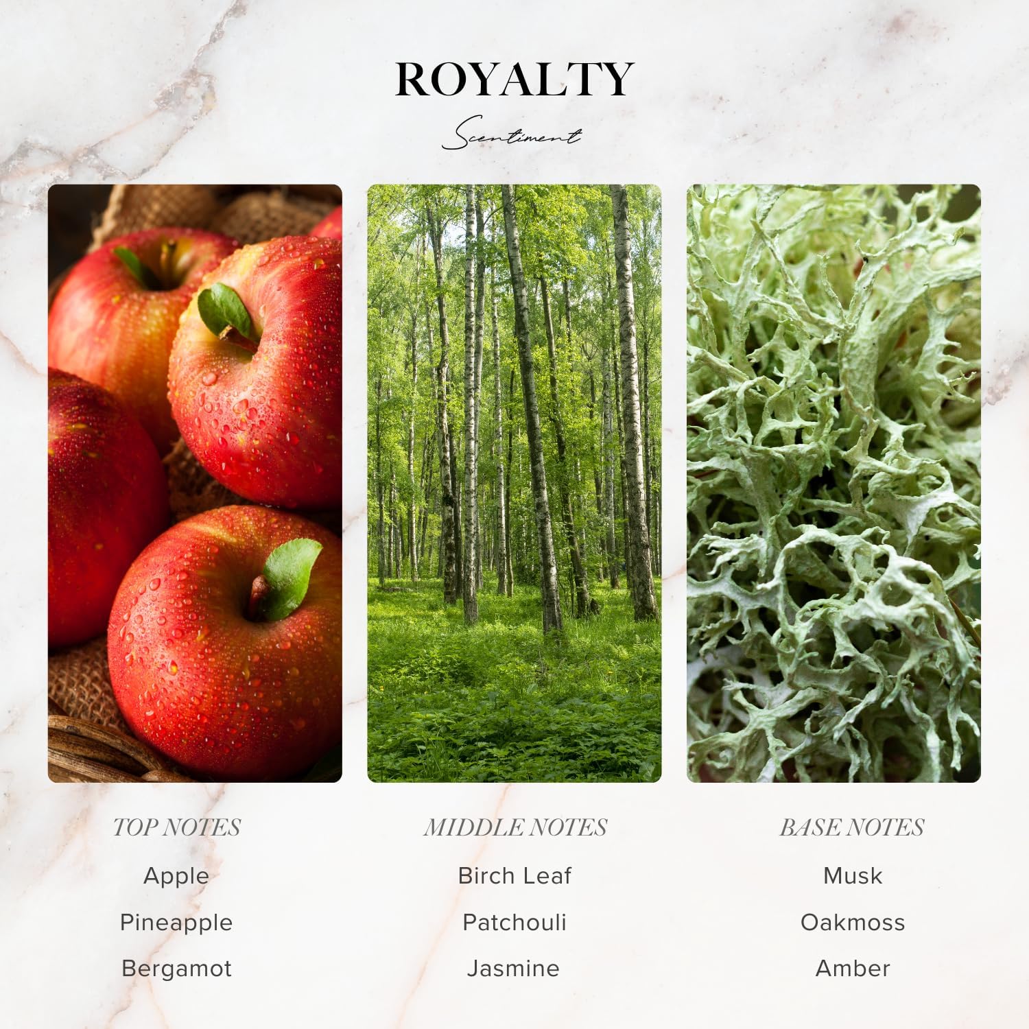 Scentiment Designer Diffuser Oil Discovery Kit – Top 3 Luxury-Inspired Scents | Aromatherapy Fragrance Oils for Home & Office | Long-Lasting & Elegant Scent (3 x 20ml) - Image 4