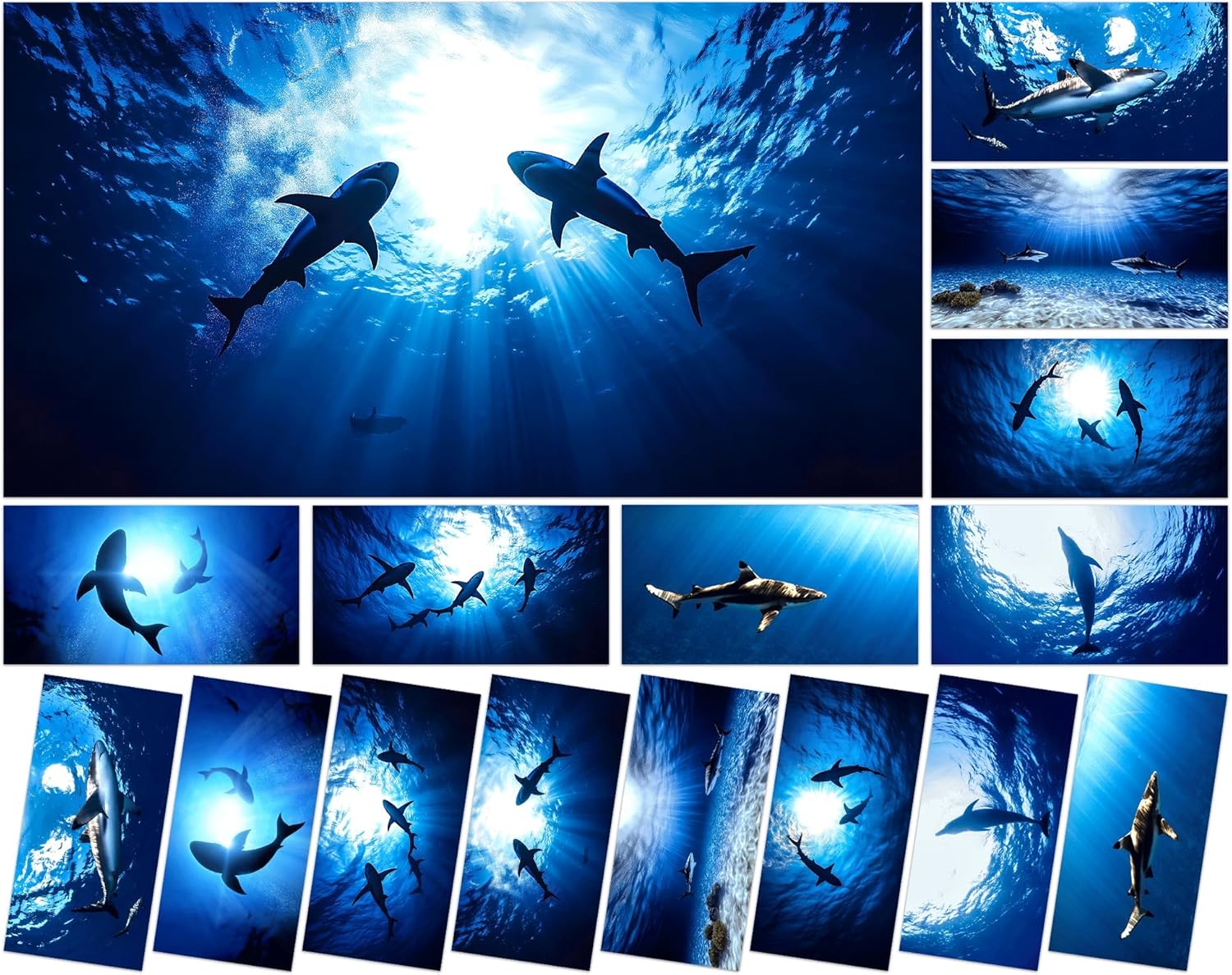 8 Pcs Fluorescent Light Covers with 80 Magnets Decorative for Classroom Ceiling Light 4 x 2 Feet Magnetic Light Covers Filter Easy Install for Office Hospitals & Home Drop Ceiling Supplies (Shark)