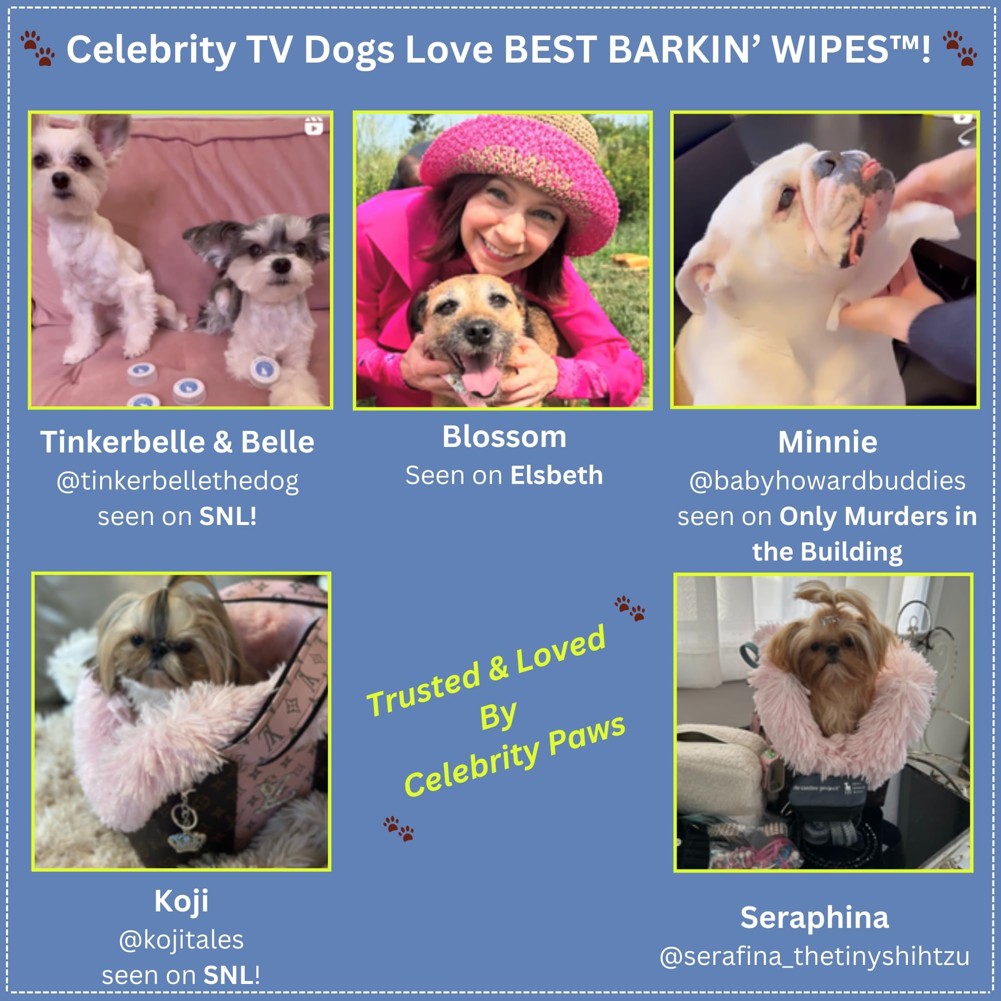 Best Barkin' Wipes Lot de 24 lingettes pour chiens pour les pattes des oreilles et les fesses - Parfumées à l'aloe vera micellaire - Pour les voyages