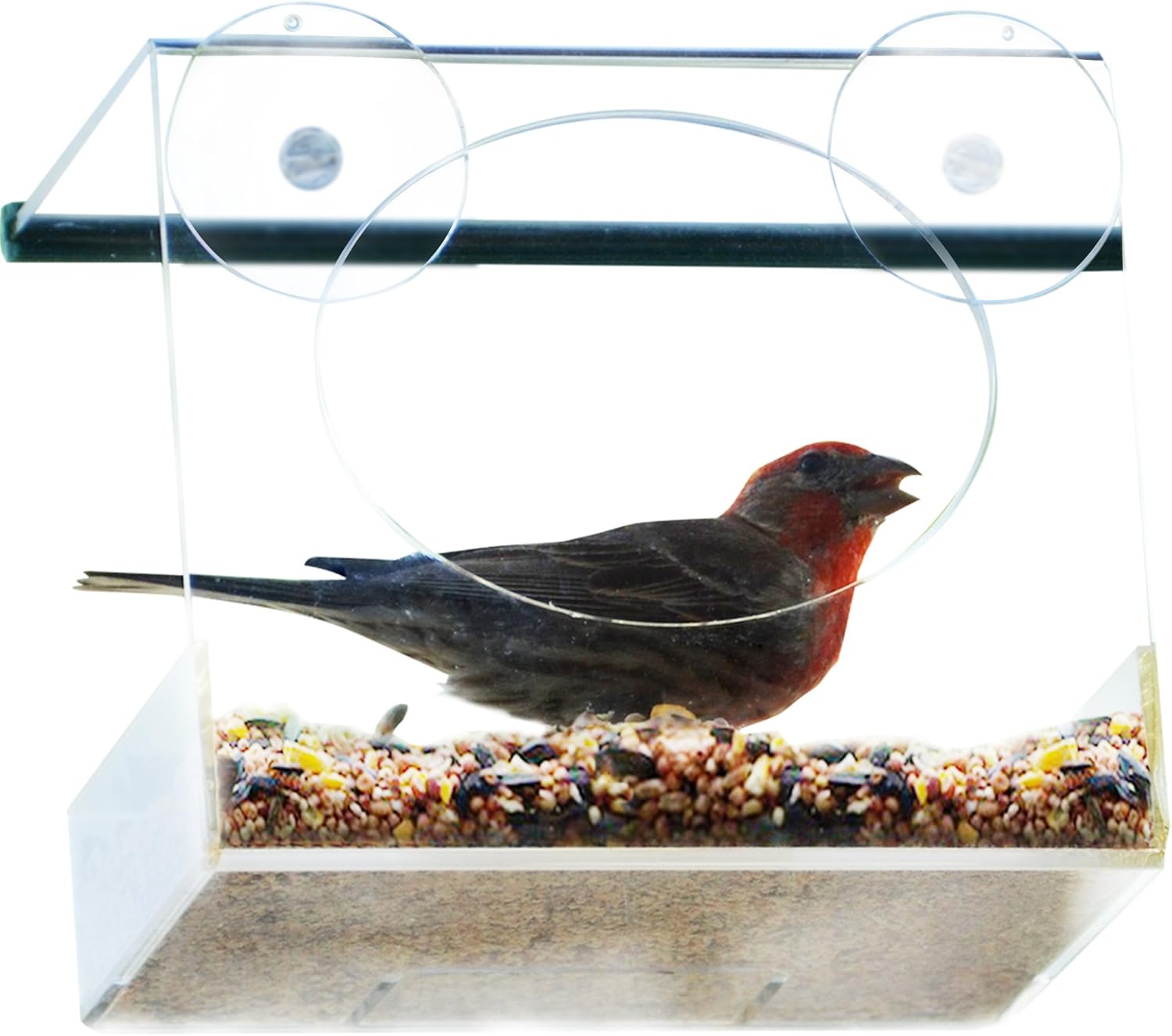 Large Window Bird Feeder Amazon.co.uk Garden