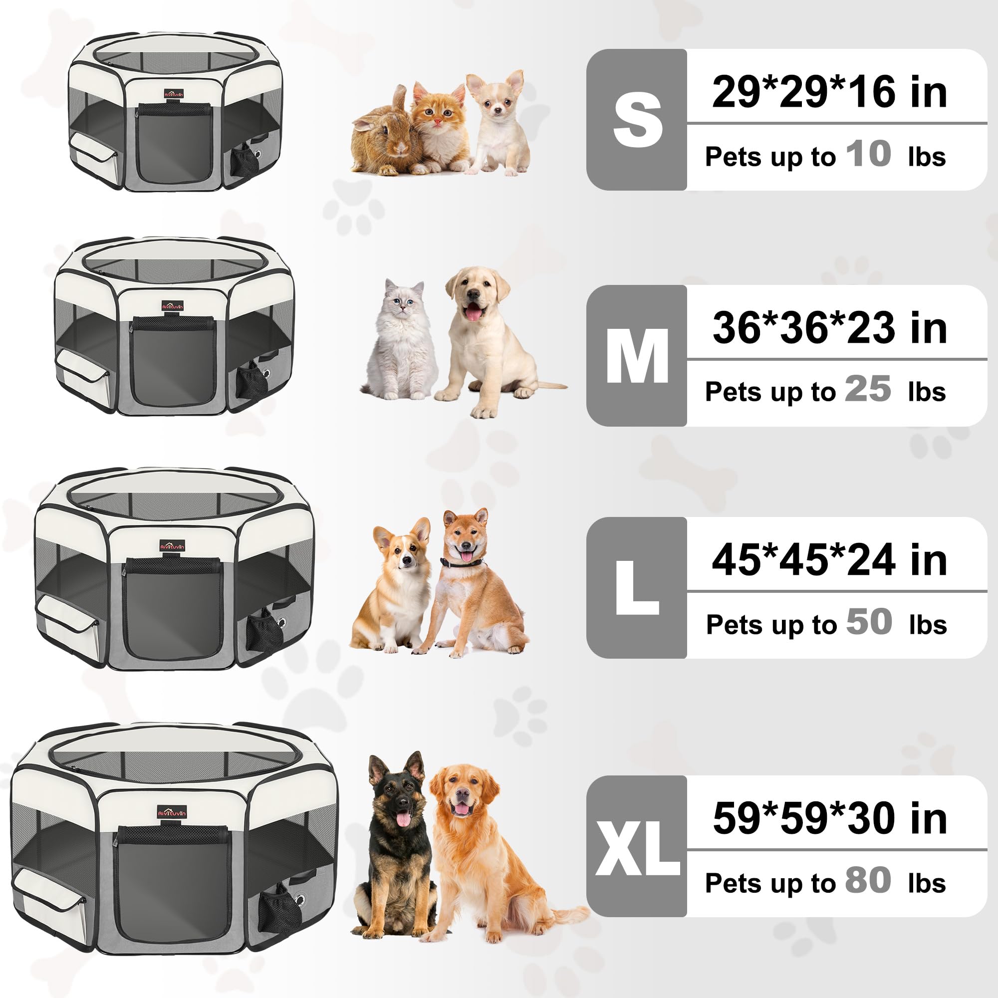 https://m.media-amazon.com/images/I/81SCSCeDPyL.jpg