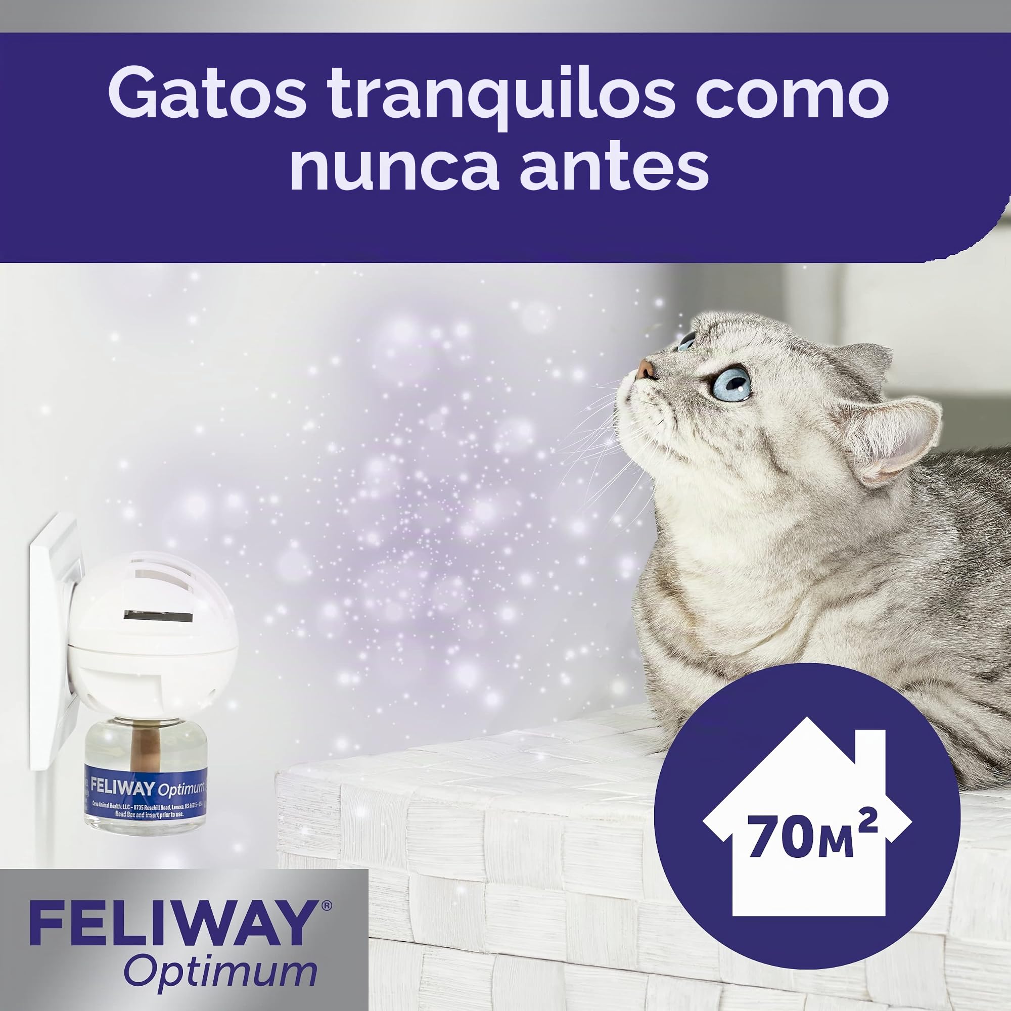 FELIWAY Optimum 1x30 días Recarga calmante para difusor de feromonas 48 ml - Ayuda a Resolver Todos los Signos comunes de estrés en Gatos y Gatitos.Recomendado por Veterinarios, clínicamente Probado