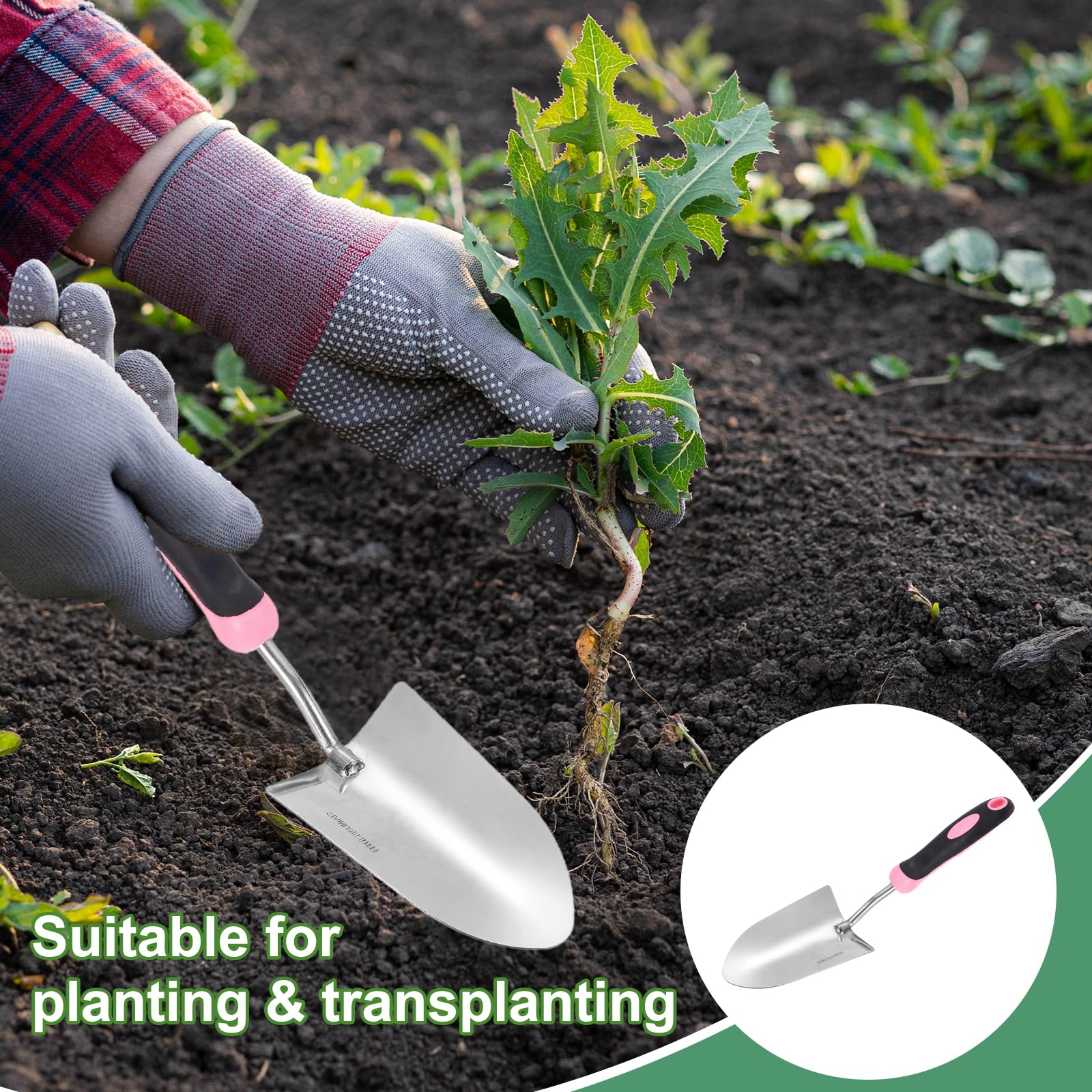 QUARKZMAN Pezze Pala Da Giardinaggio X Trapiantatore In Acciaio Inossidabile Con Manico Attrezzi Da Giardino Per Giardinaggio Diserbo Piantagione Rosa.