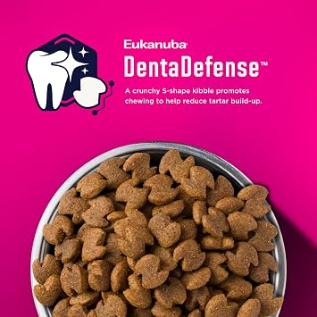 Eukanuba Adult Large Breed Dry Dog Food, 35 lb bag