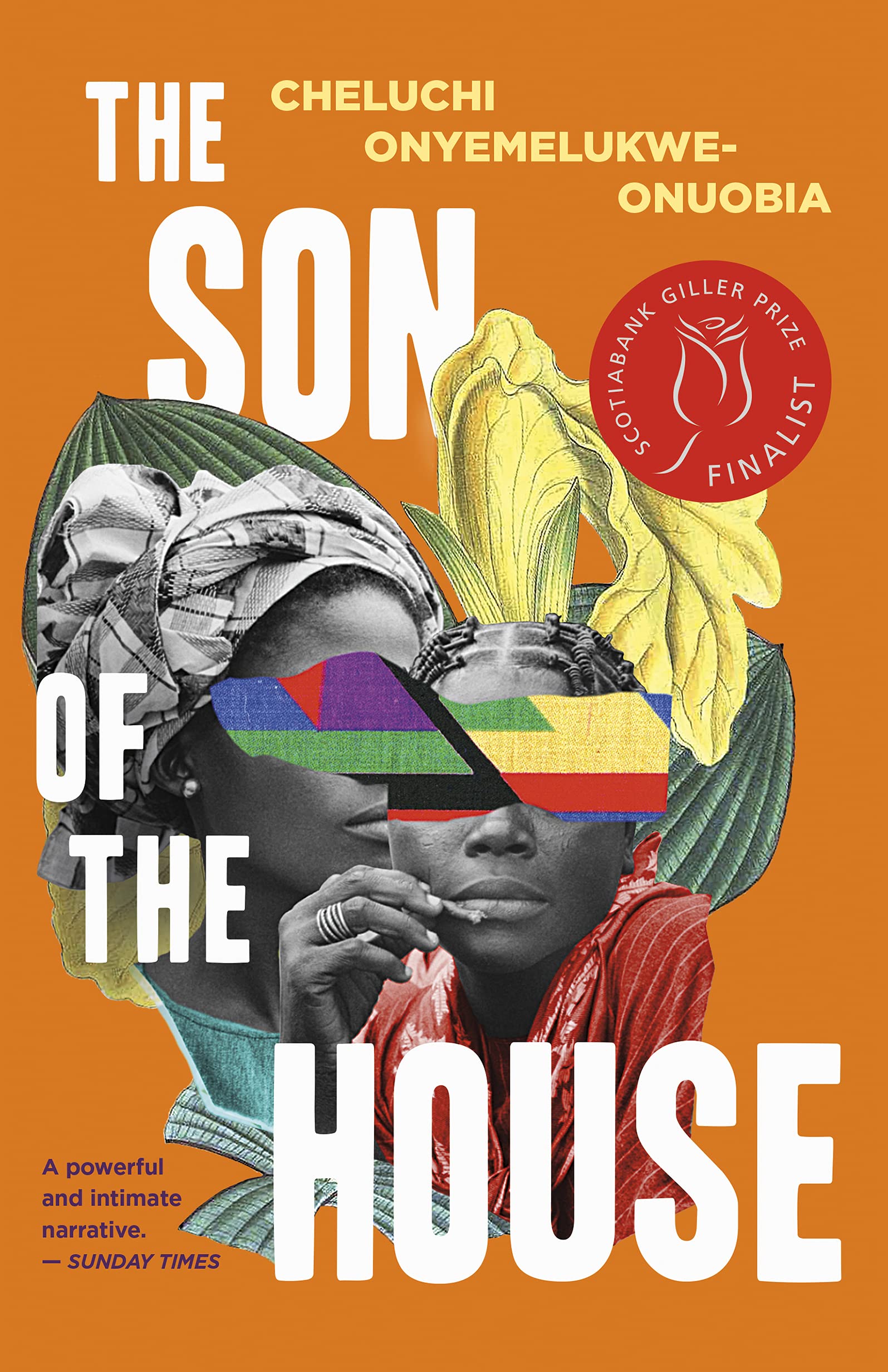 The Son of the House [Paperback] Onyemelukwe-Onuobia, Cheluchi