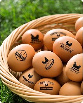 Custom Egg Stamps for Fresh Eggs Personalized, Personalized Chicken Egg Stamp with Logo Name, Customized Egg Stamper for Chicken Eggs, Custom Rubber Stamps for Farm Chicken Coop Branding 1