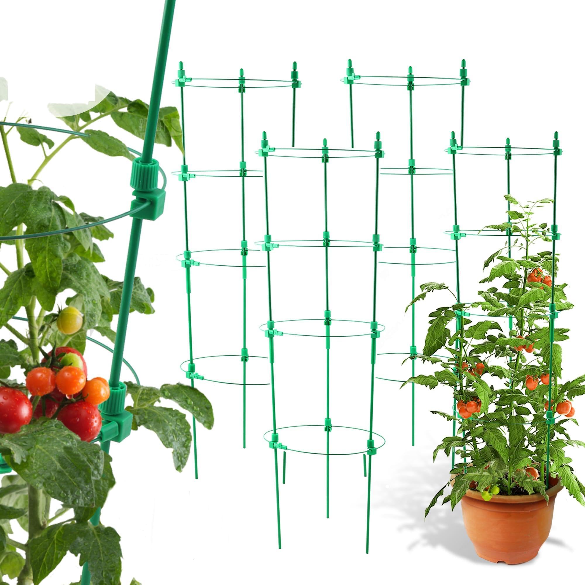 ジークレー lotta botanize Amazon.com : Tomato Cage for Garden- Upgrade 36 Inches
