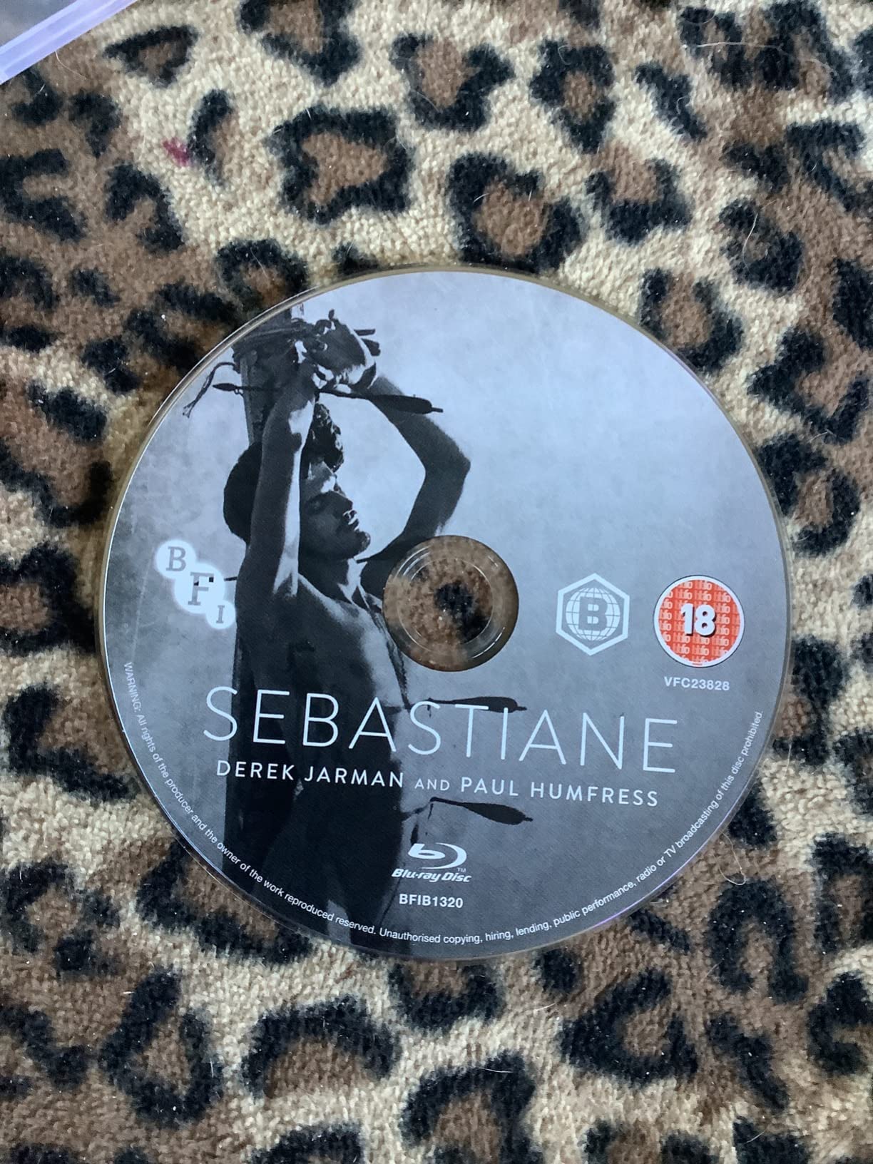 Sebastiane [VHS] : Leonardo Treviglio, Barney James, Neil Kennedy