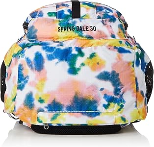 Amazon.co.jp: Chums Spring Dale 30 Backpack, multicolor : Clothing