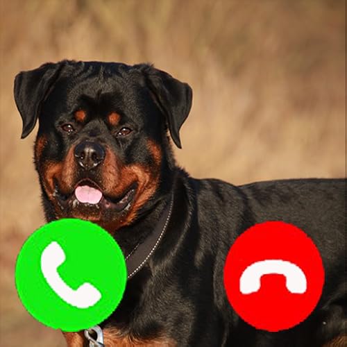 Rottweiler Fake Call Prank ( Funny Pet Calling Prank ) - Gag fake Prank Call from Rottweilers Dogs -
